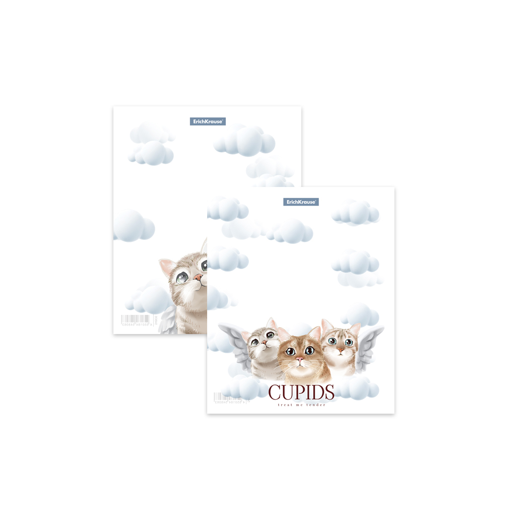 Набор пластиковых обложек ErichKrause® Cupids для тетрадей и дневников, 212х347мм, 80 мкм, ассорти 